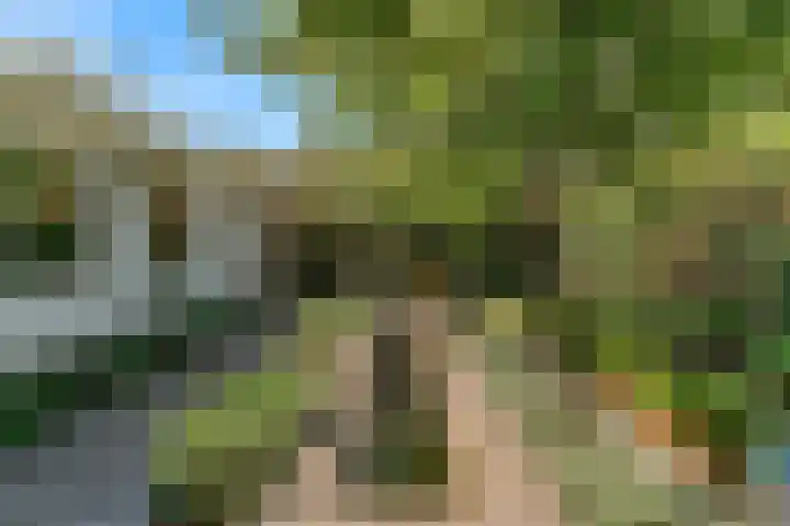 Vredeburglaan 44 Limmen thumbnail 38
