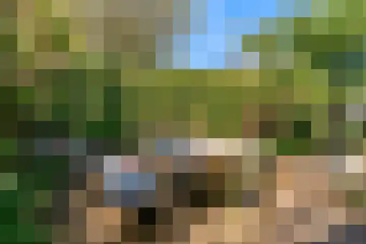 Vredeburglaan 44 Limmen thumbnail 40
