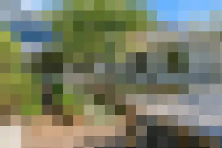 Vredeburglaan 44 Limmen thumbnail 41