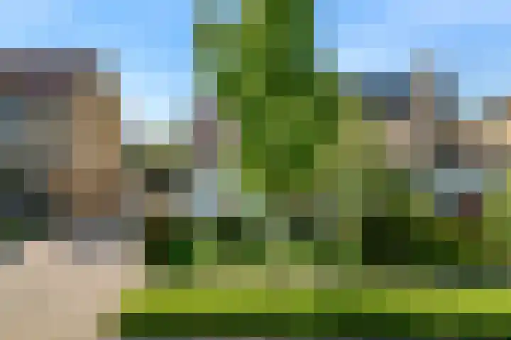 Vredeburglaan 44 Limmen thumbnail 42