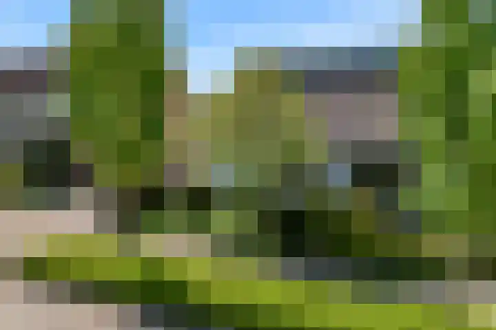 Vredeburglaan 44 Limmen thumbnail 44