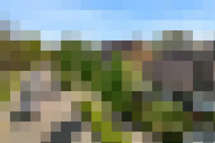 Vredeburglaan 44 Limmen thumbnail 45