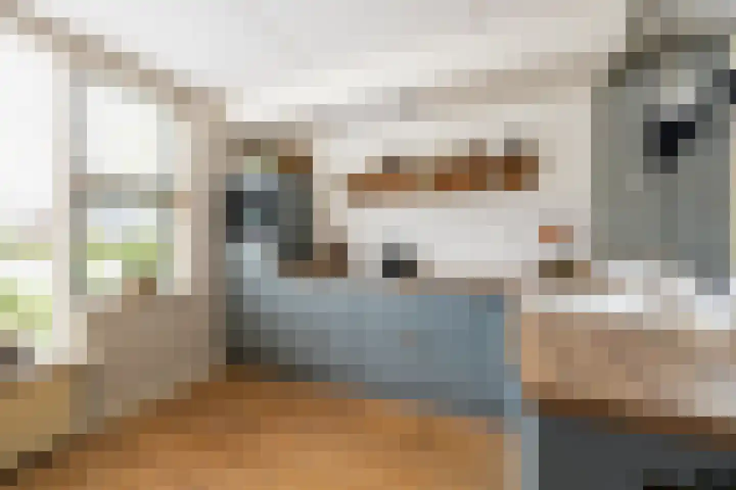 Vredehof 23 Middenbeemster thumbnail 16