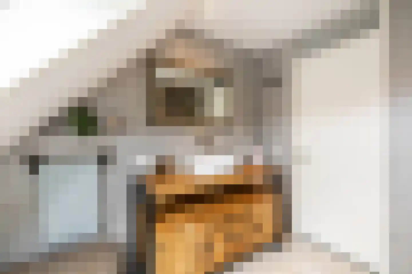 Vredehof 23 Middenbeemster thumbnail 28