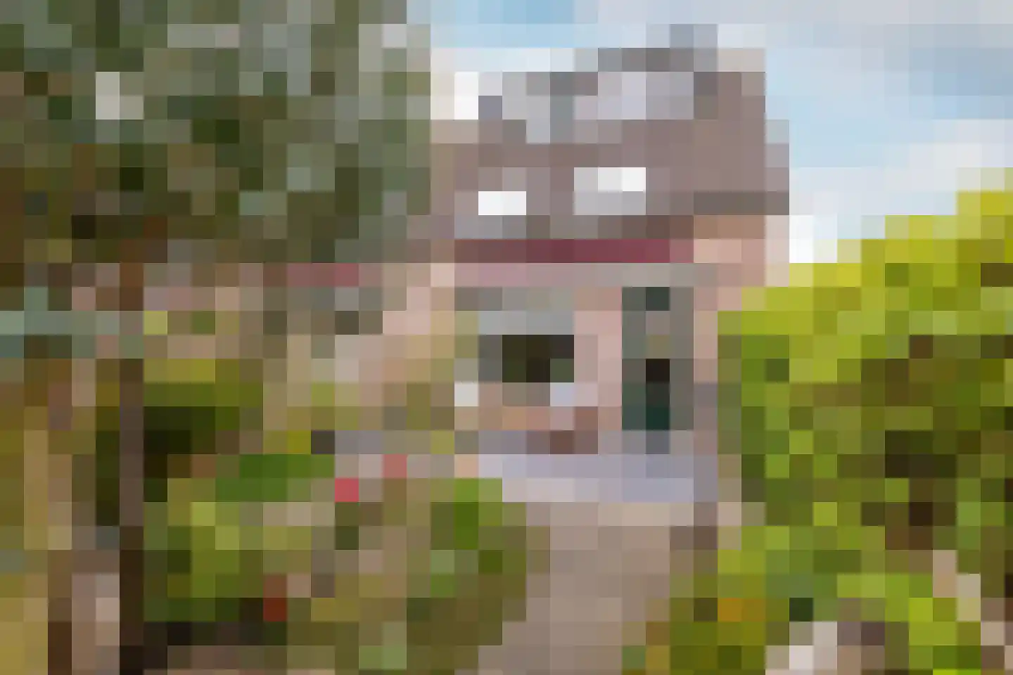 Vredehof 23 Middenbeemster thumbnail 37