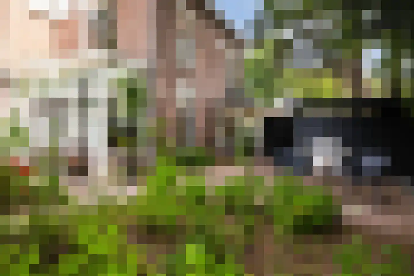 Vredehofstraat 13 Soest thumbnail 28
