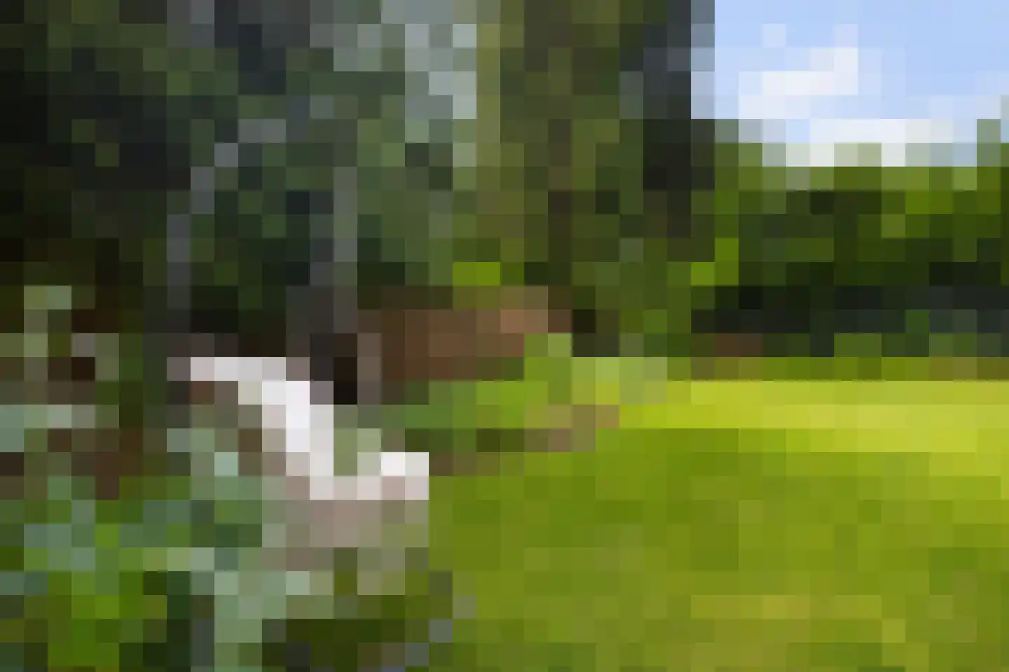 Vredehofstraat 13 Soest thumbnail 30