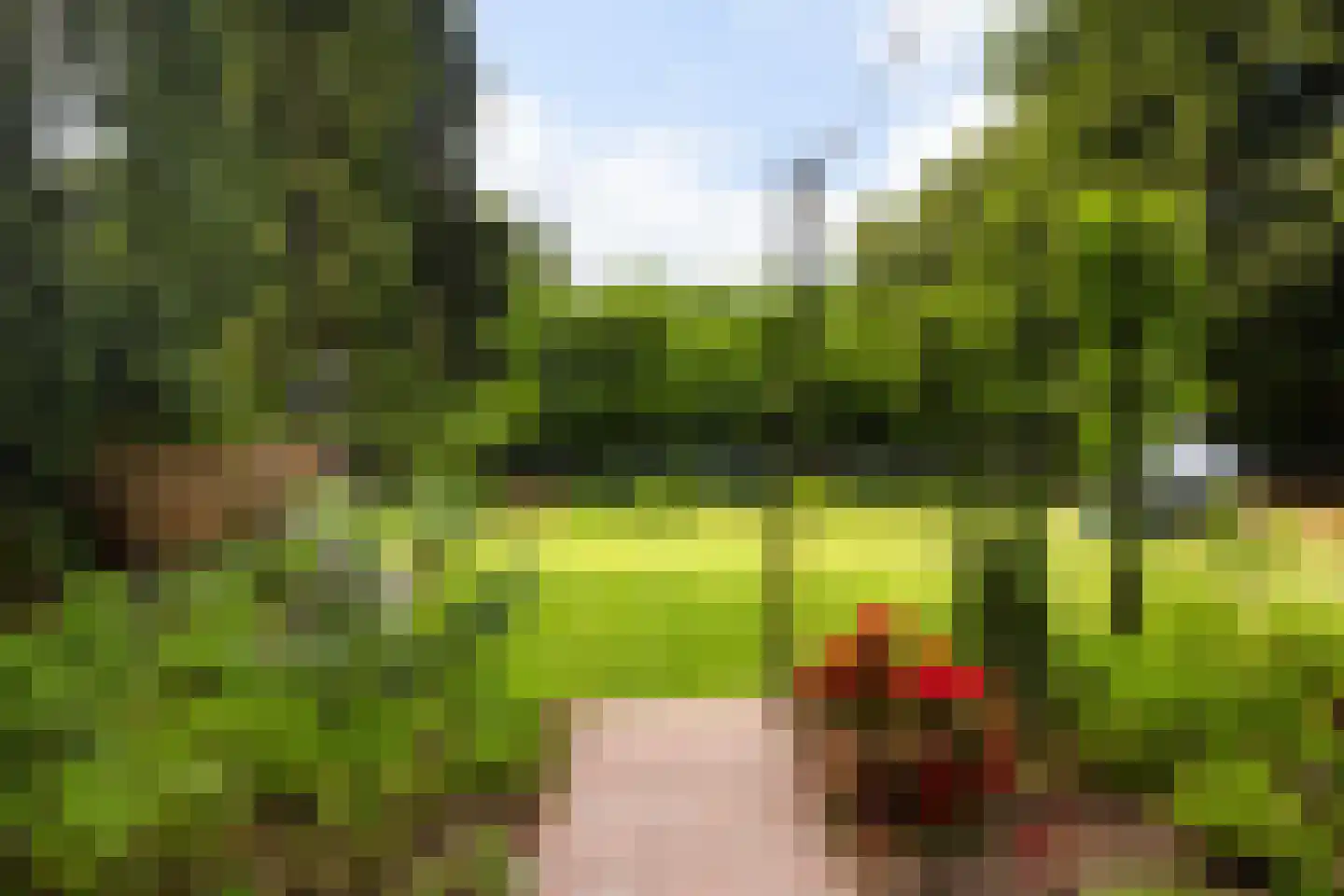Vredehofstraat 13 Soest thumbnail 31