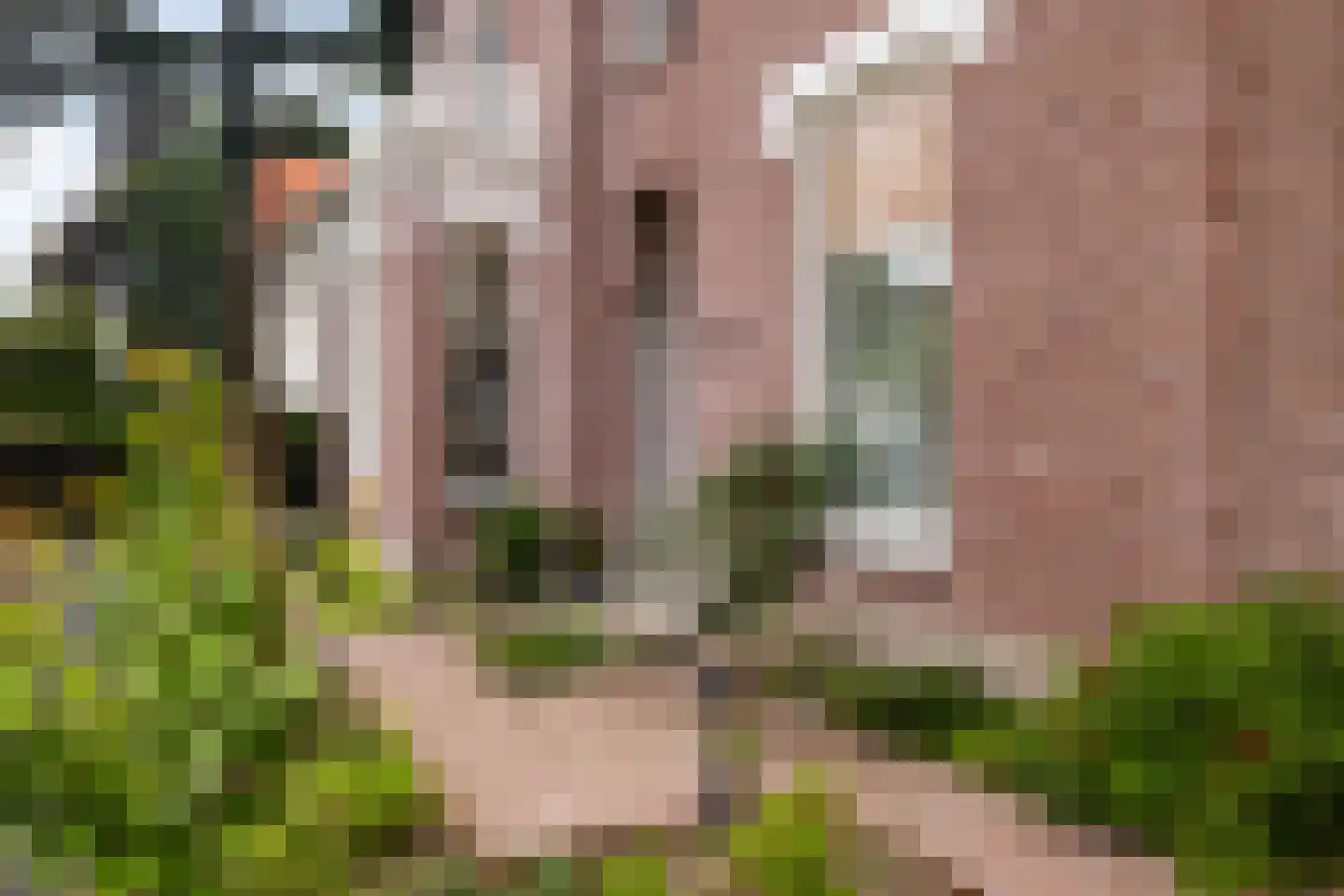 Vredehofstraat 13 Soest thumbnail 34
