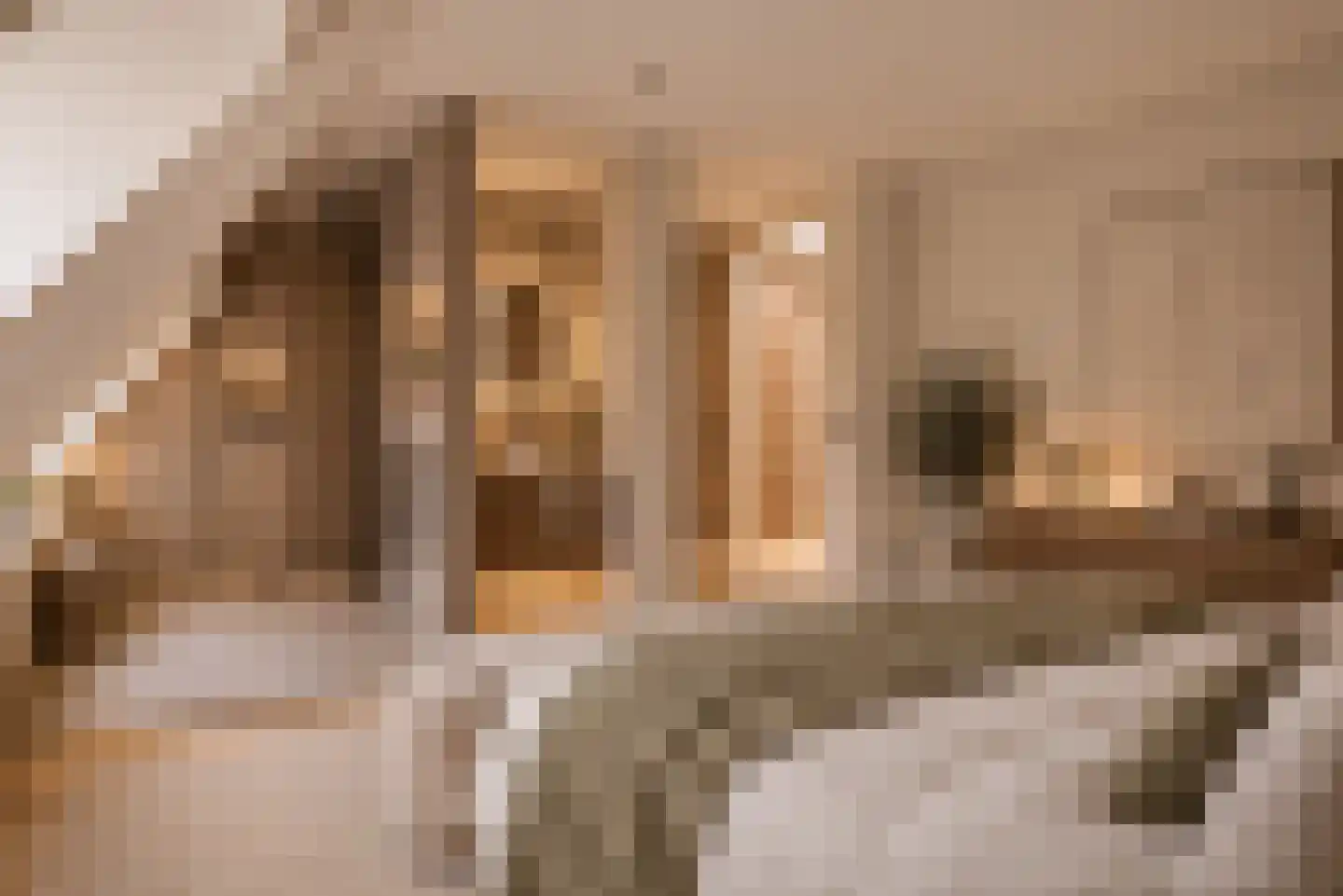 Vredehofstraat 15 E Soest thumbnail 5