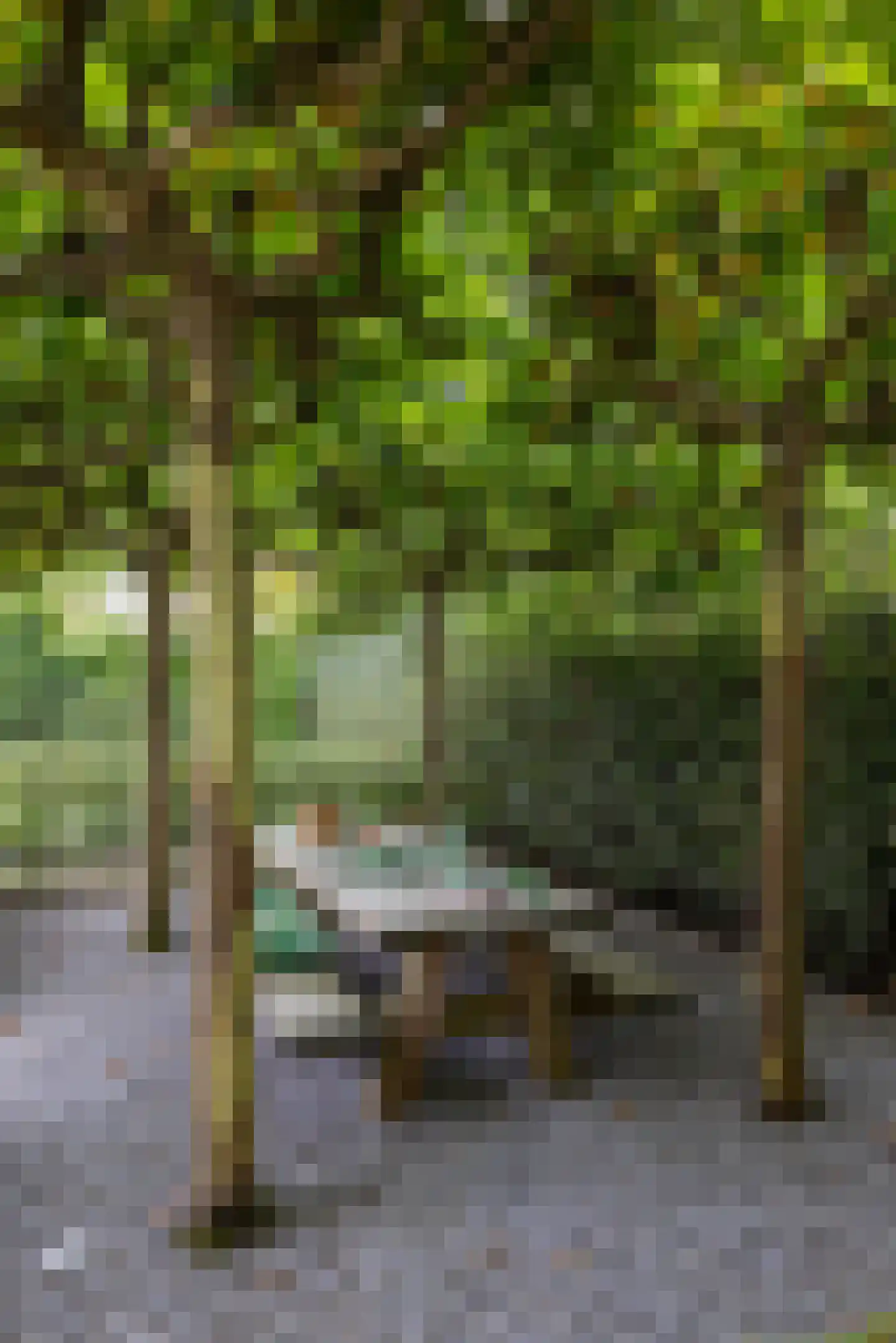 Vredehofstraat 9 Soest thumbnail 44