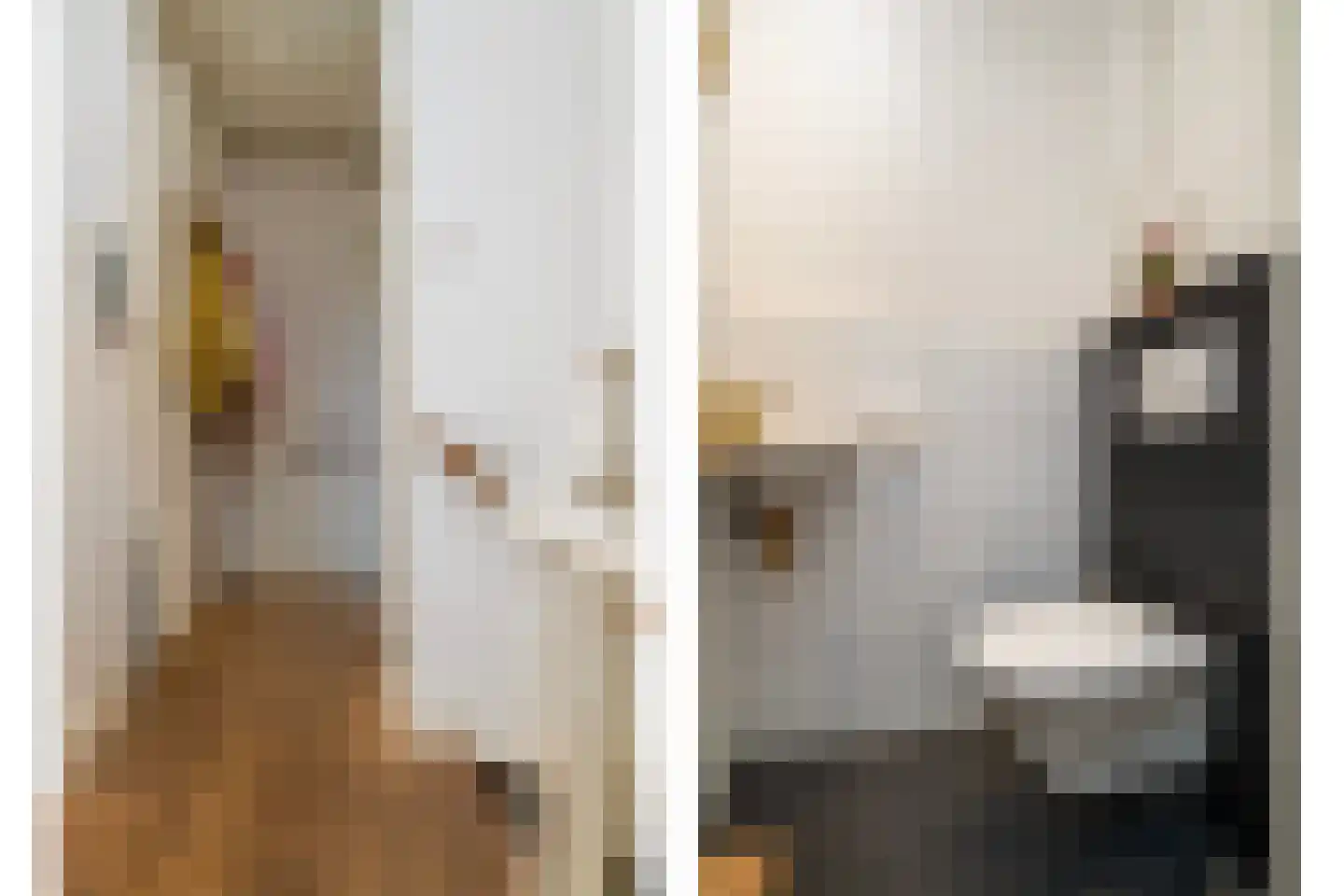Vredehofweg 12 A Rotterdam thumbnail 22