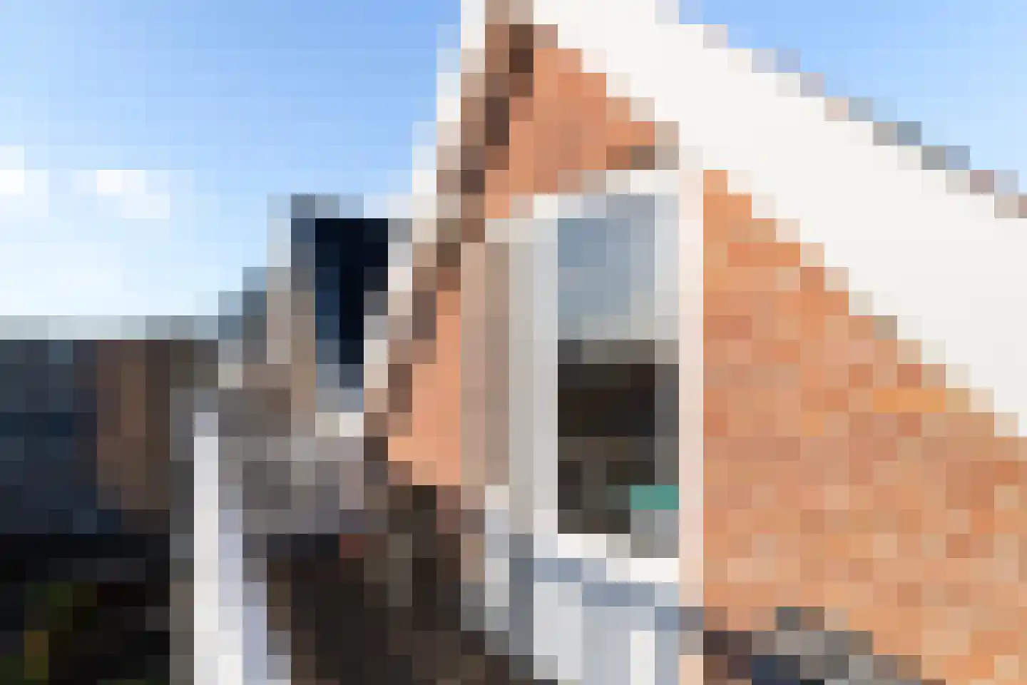 Vredehofweg 12 A Rotterdam thumbnail 32