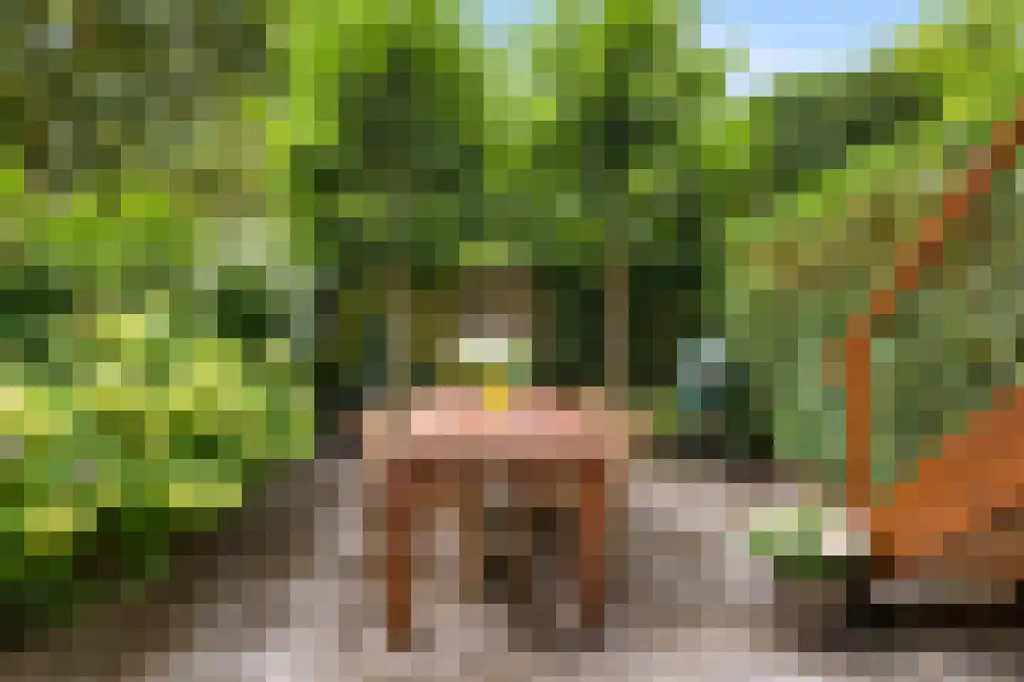 Vredehofweg 16 A Rotterdam thumbnail 31