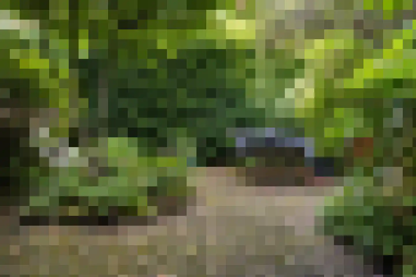 Vredehofweg 68 Rotterdam thumbnail 28