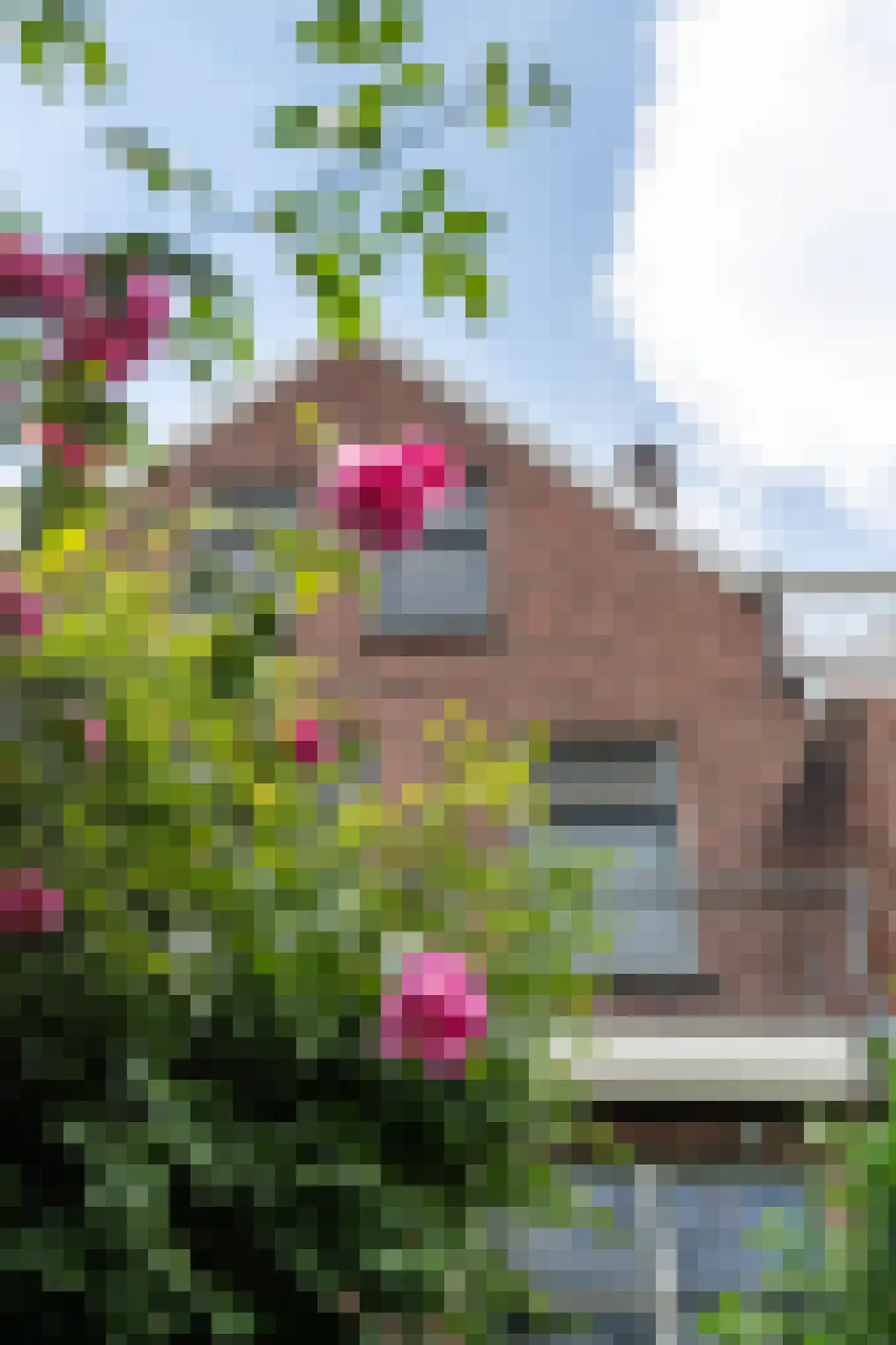 Vredehofweg 68 Rotterdam thumbnail 29