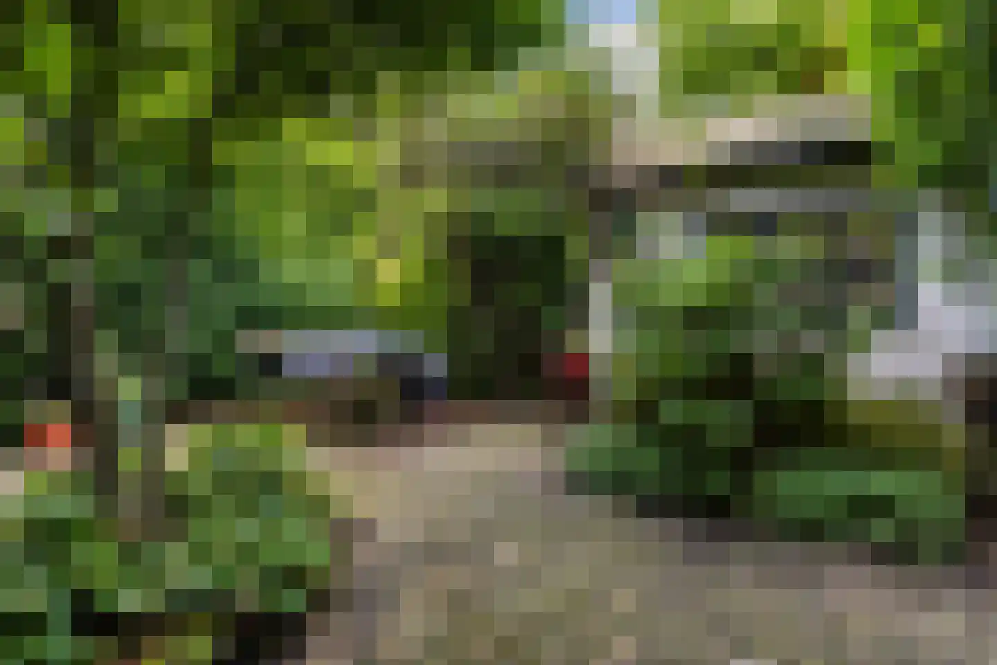 Vredehofweg 68 Rotterdam thumbnail 30