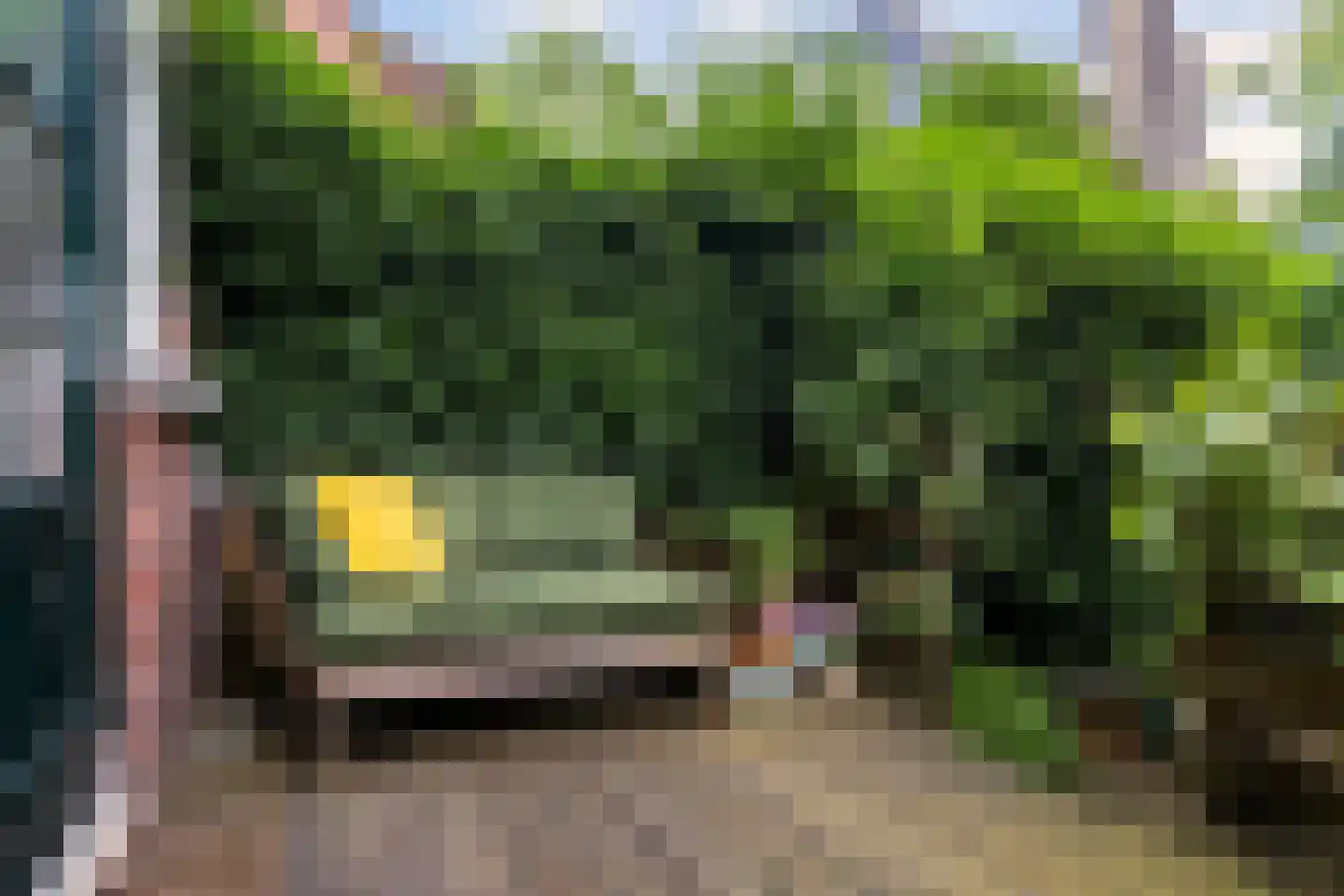 Vredehofweg 68 Rotterdam thumbnail 31