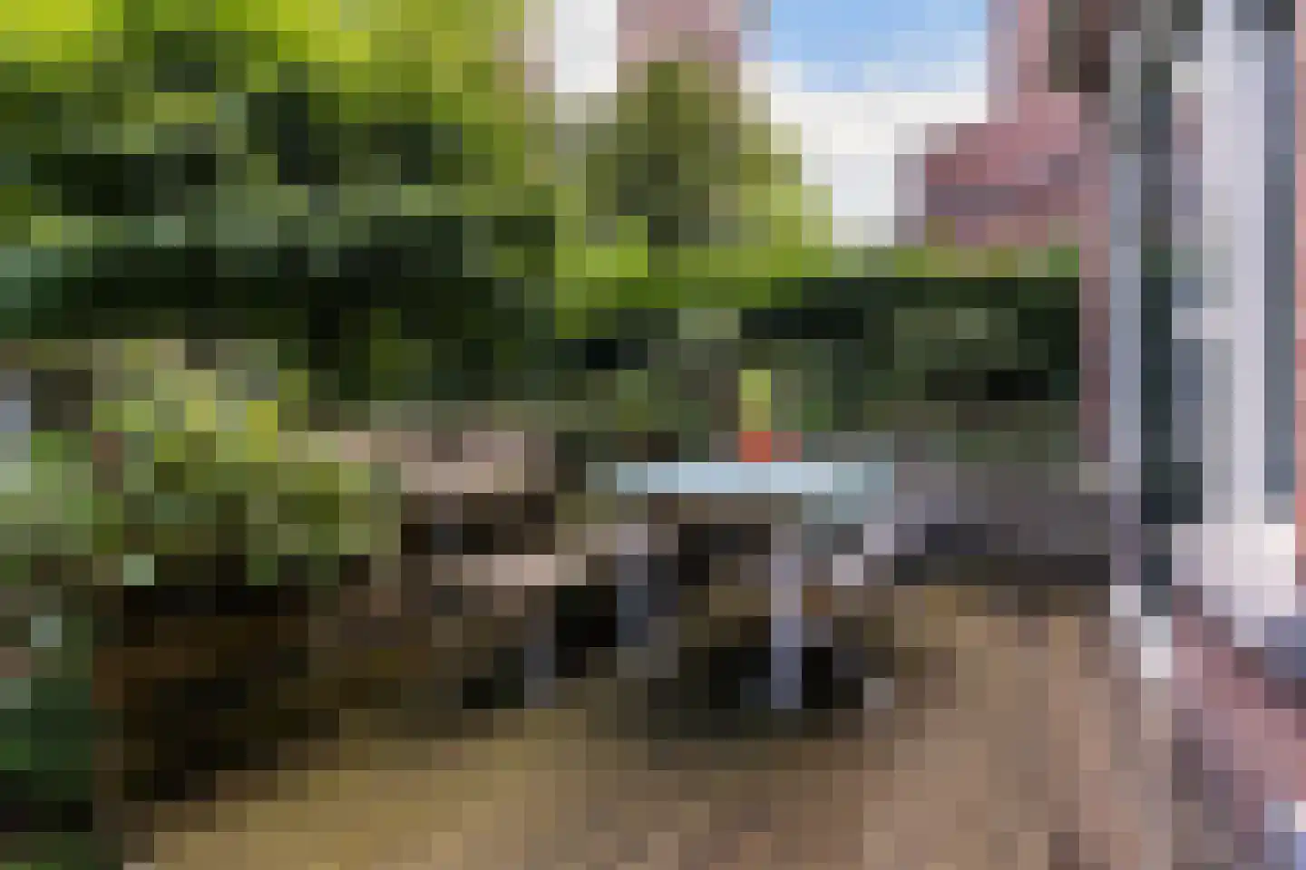 Vredehofweg 68 Rotterdam thumbnail 32