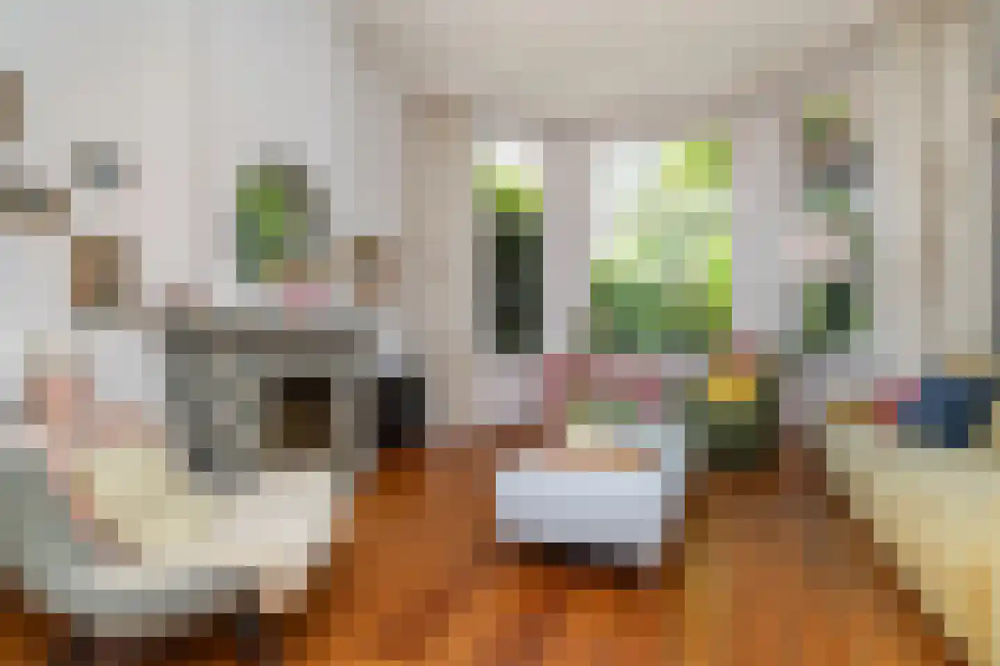 Vredehofweg 68 Rotterdam thumbnail 6