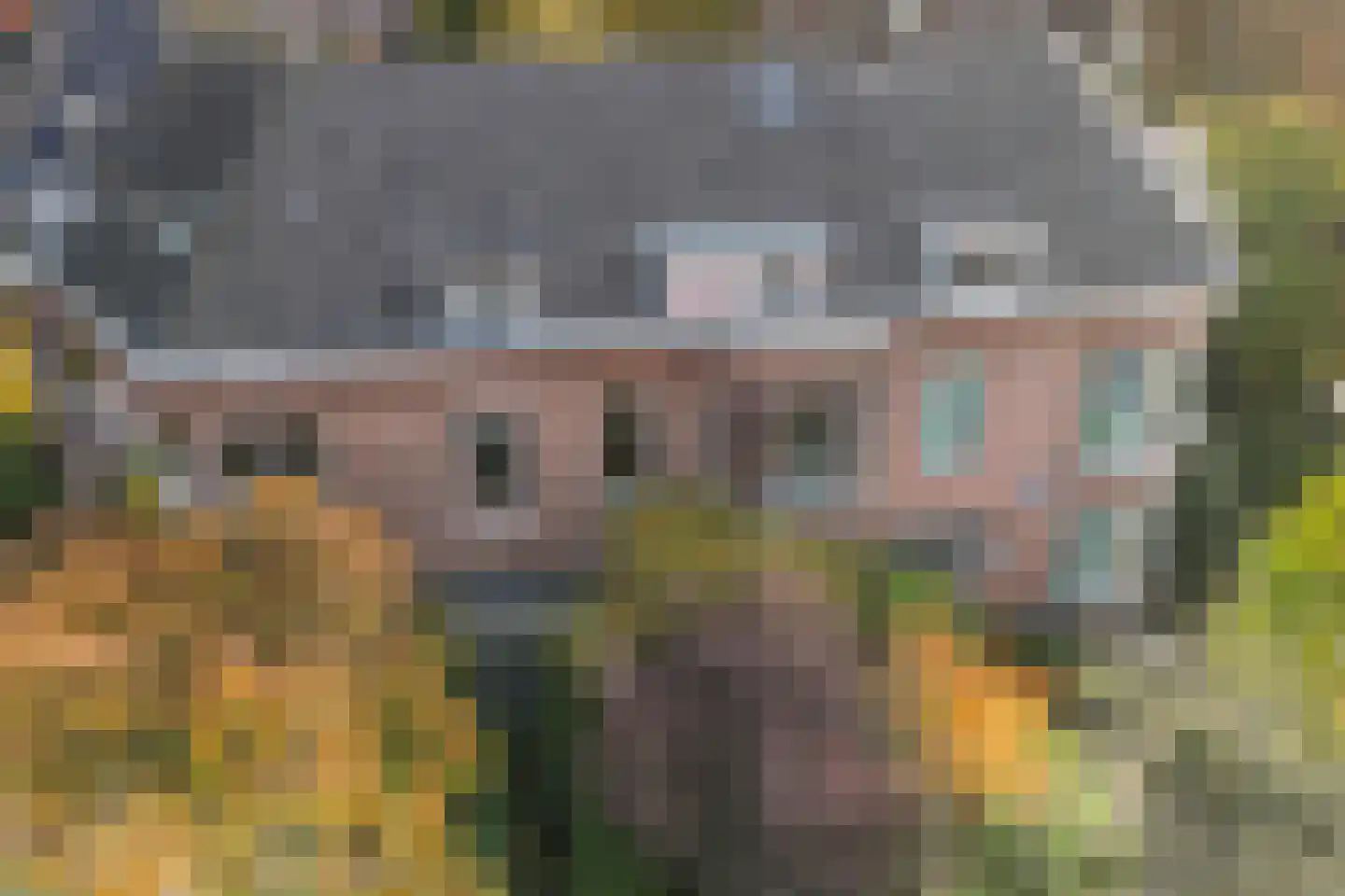 Vredehofweg 68 Rotterdam thumbnail 62