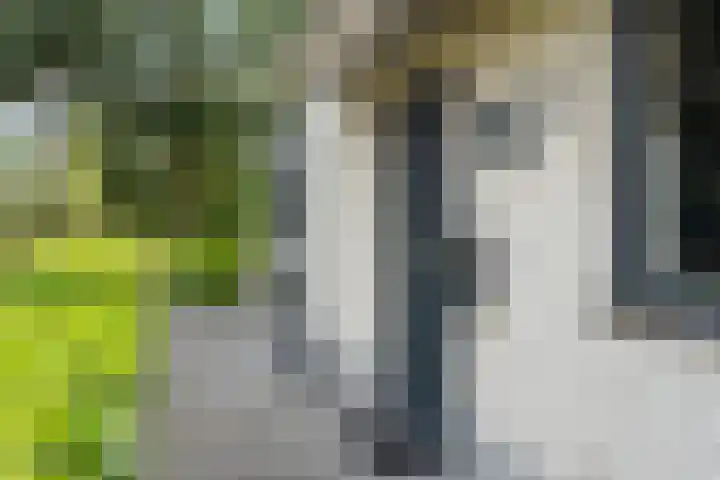 Vredelaan 11 Almere thumbnail 11