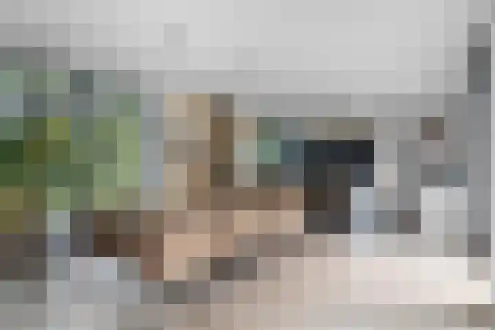 Vredelaan 11 Almere thumbnail 24