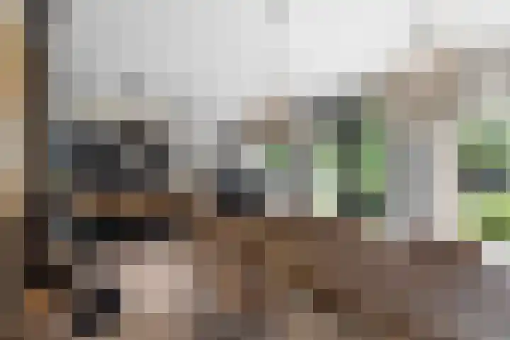 Vredelaan 11 Almere thumbnail 26