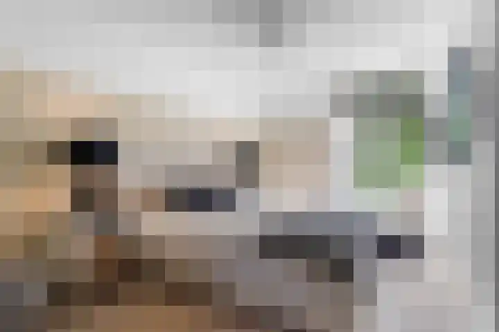 Vredelaan 11 Almere thumbnail 38
