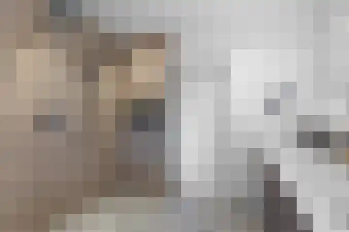 Vredelaan 11 Almere thumbnail 48