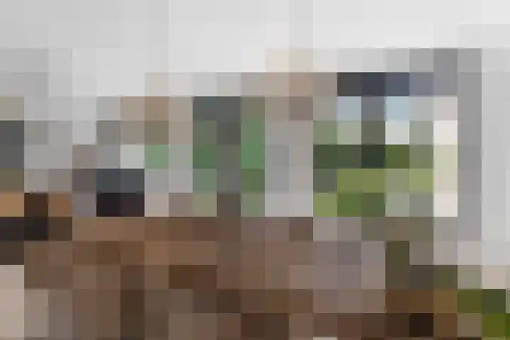 Vredelaan 11 Almere thumbnail 5