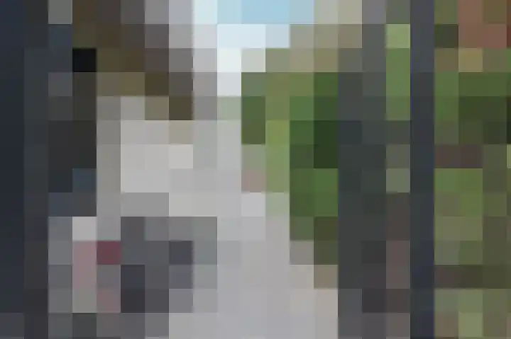 Vredelaan 11 Almere thumbnail 51