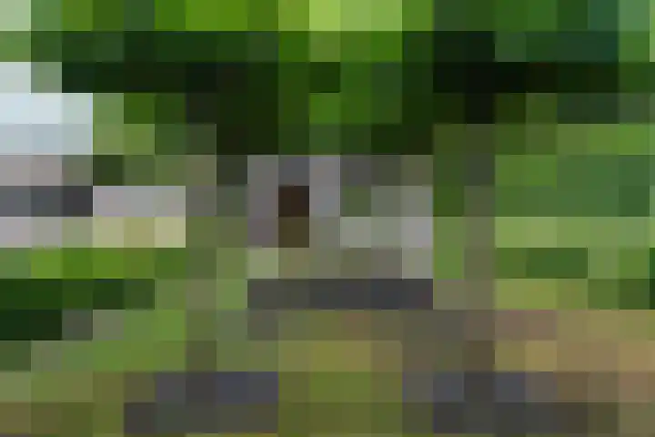 Vredelaan 11 Almere thumbnail 58