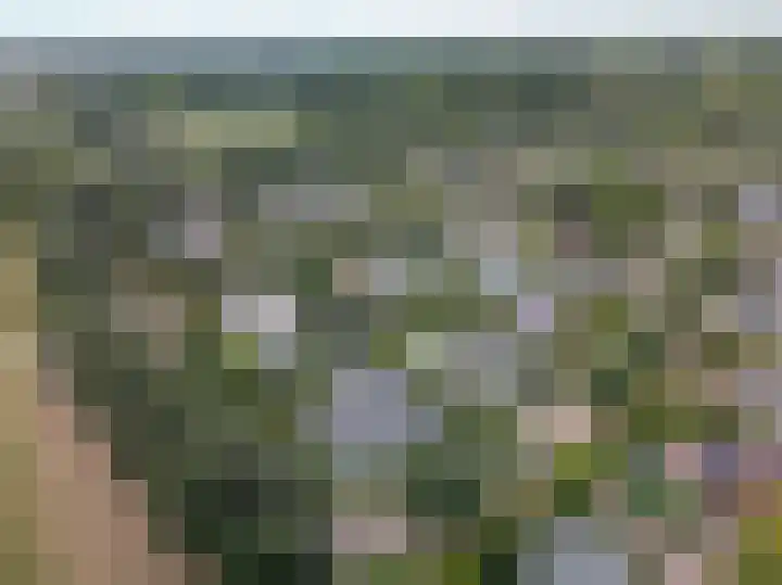 Vredelaan 11 Almere thumbnail 7