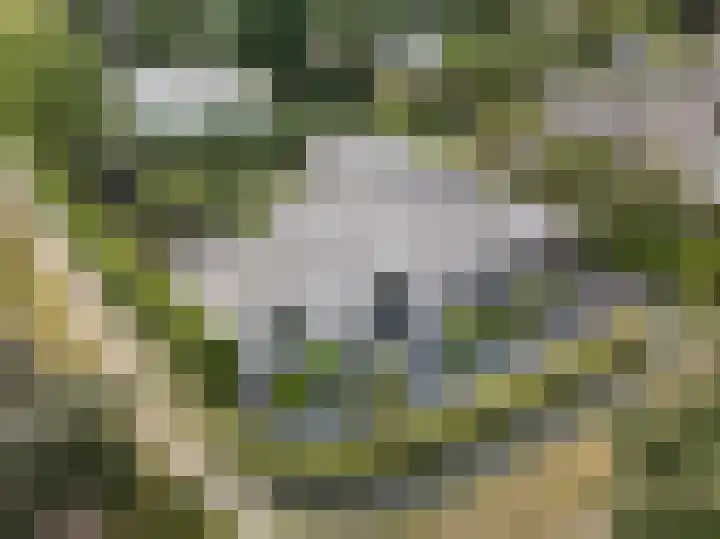 Vredelaan 11 Almere thumbnail 71