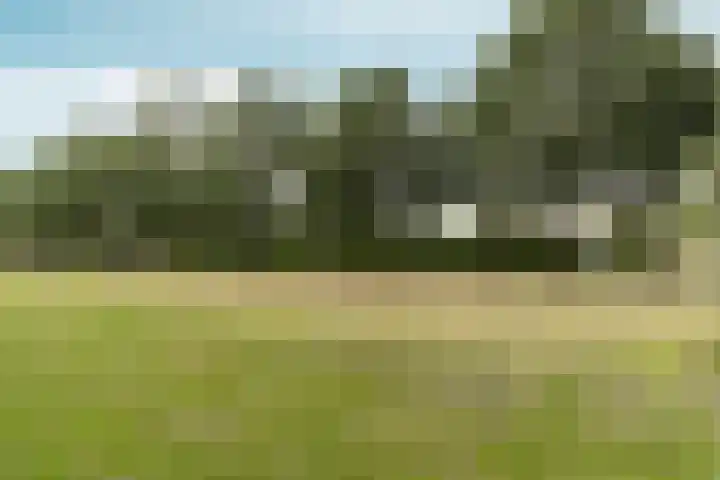 Vredelaan 11 Almere thumbnail 73