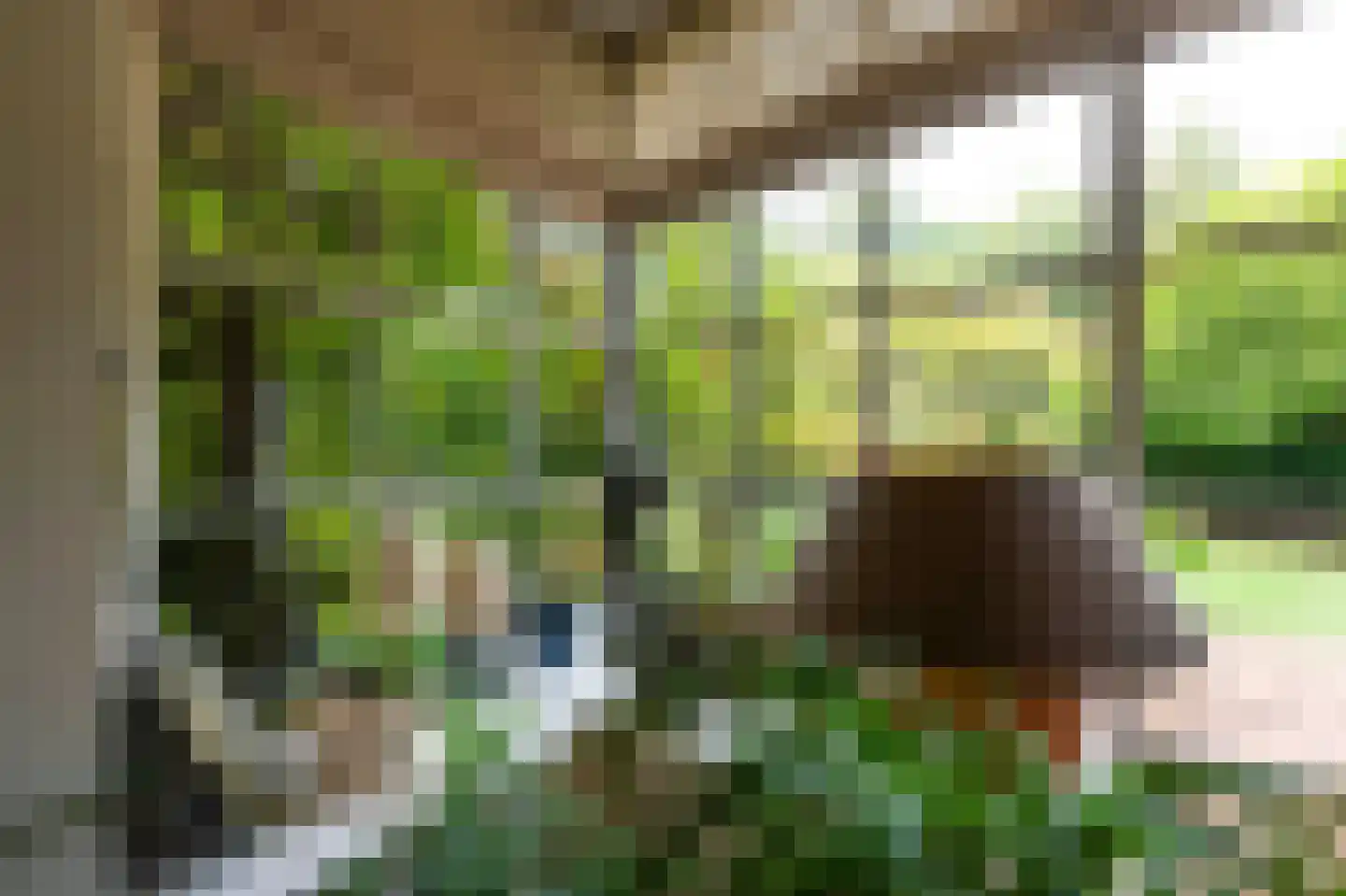 Vredelaan 23 Laren thumbnail 12