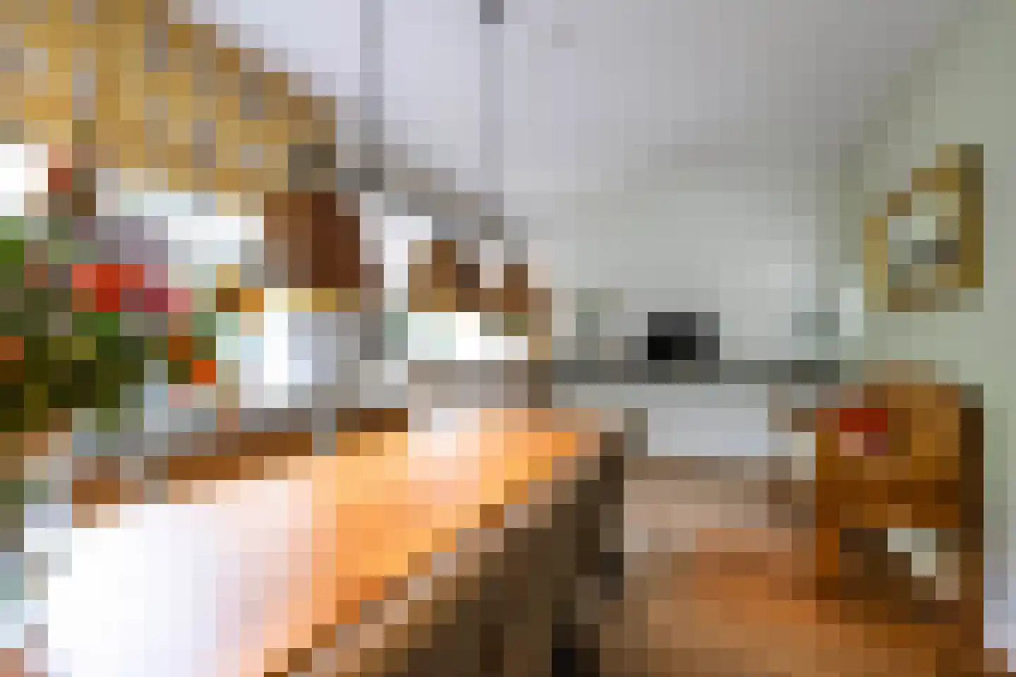 Vredelaan 23 Laren thumbnail 18