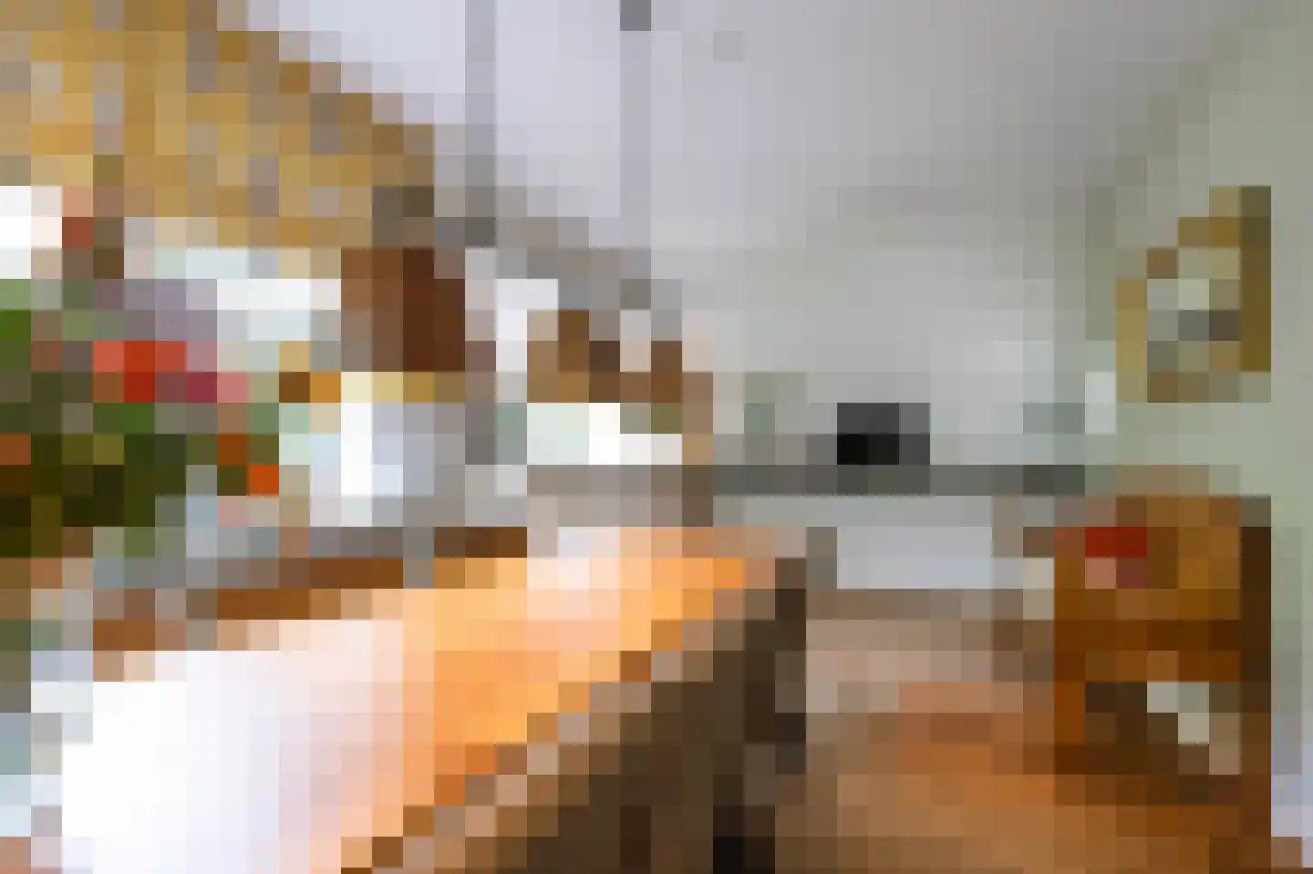 Vredelaan 23 Laren thumbnail 20