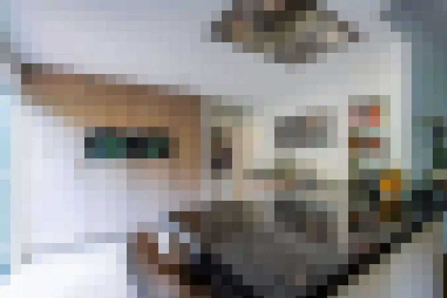 Vredelaan 23 Laren thumbnail 22