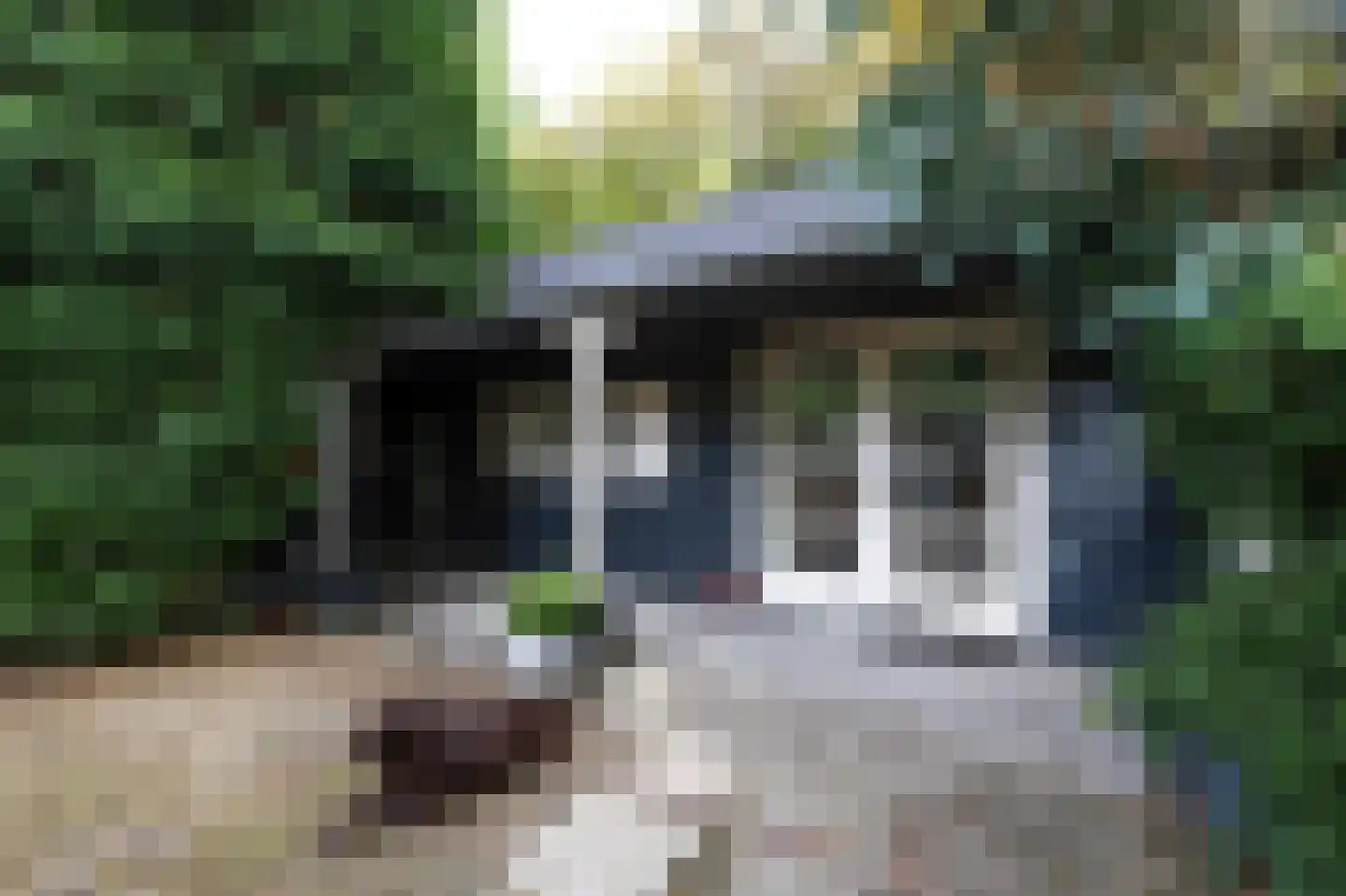 Vredelaan 23 Laren thumbnail 47