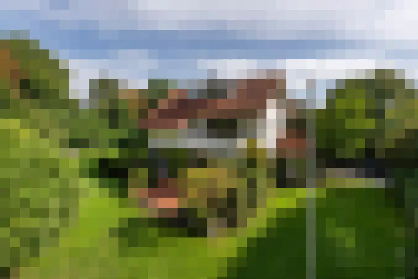 Vredelaan 23 Laren thumbnail 51