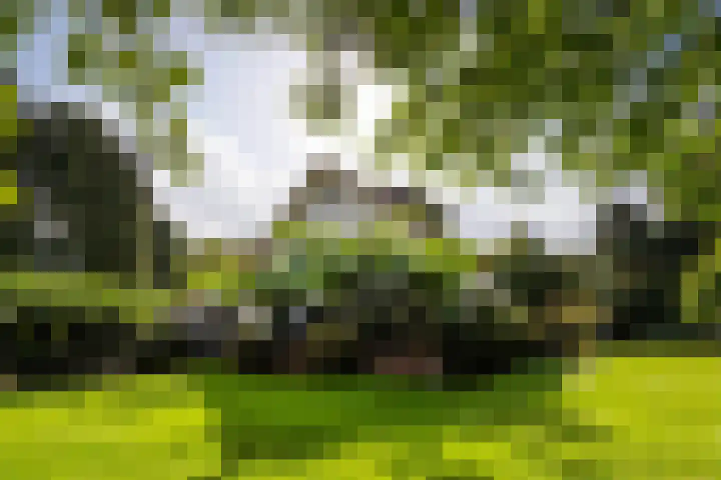 Vredelaan 23 Laren thumbnail 52