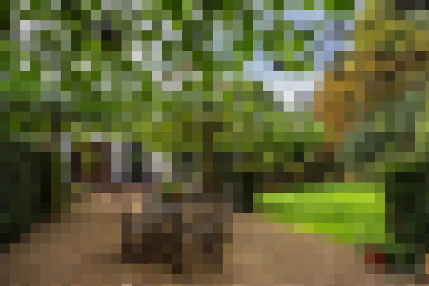 Vredelaan 23 Laren thumbnail 54