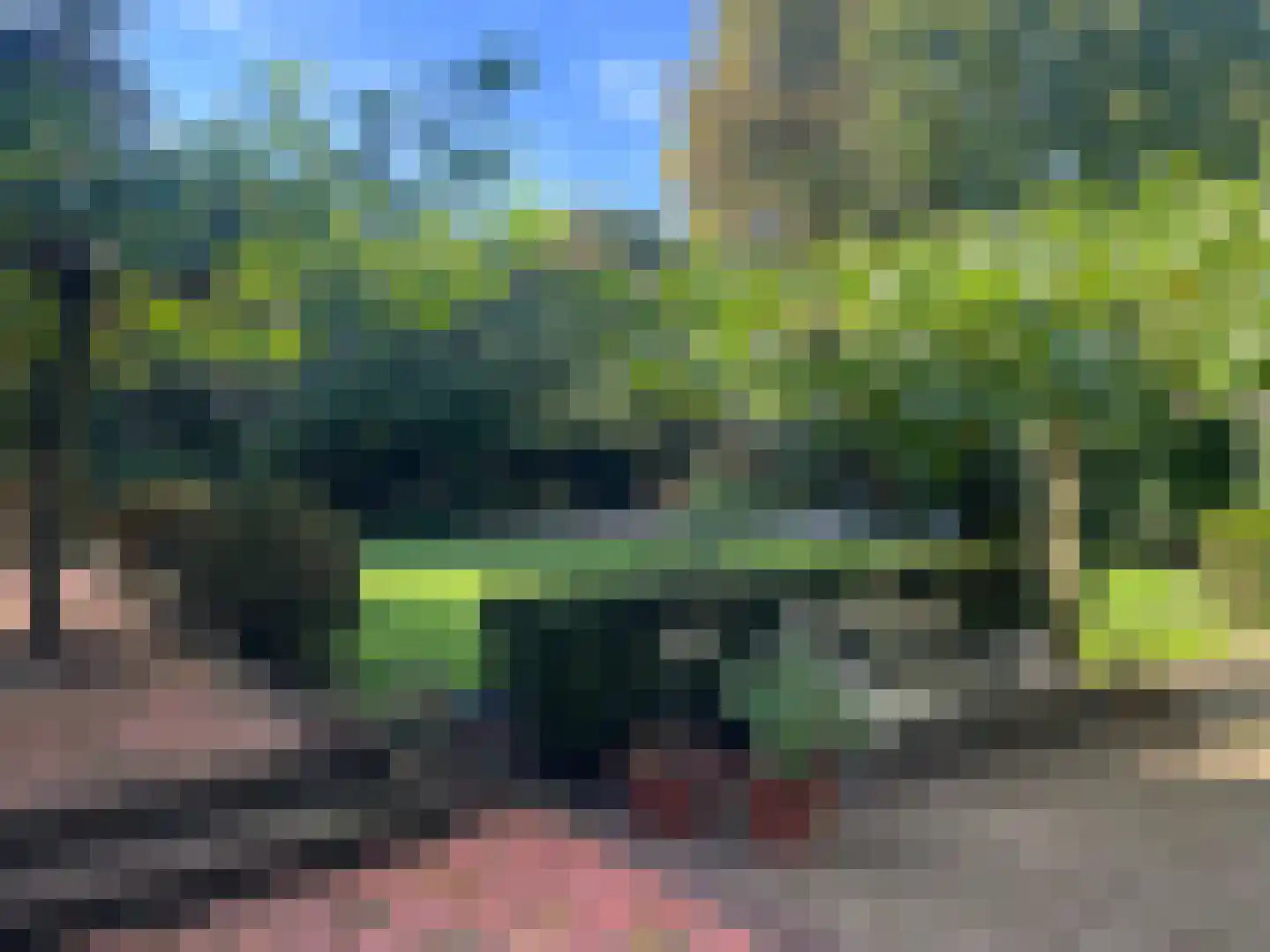 Vredelaan 23 Laren thumbnail 56