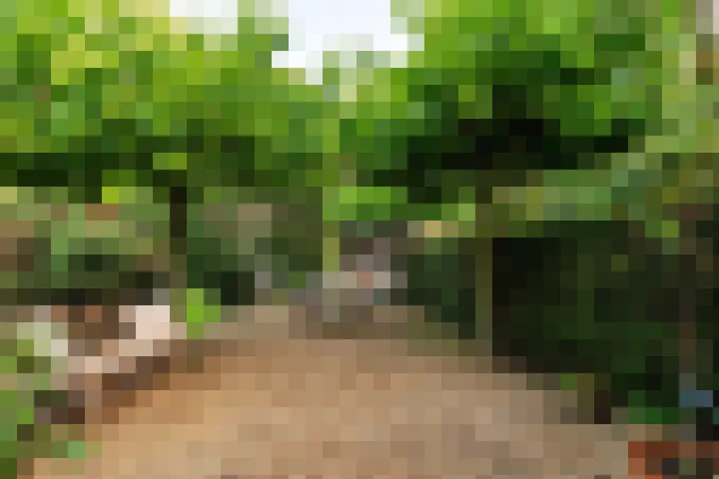 Vredelaan 23 Laren thumbnail 56