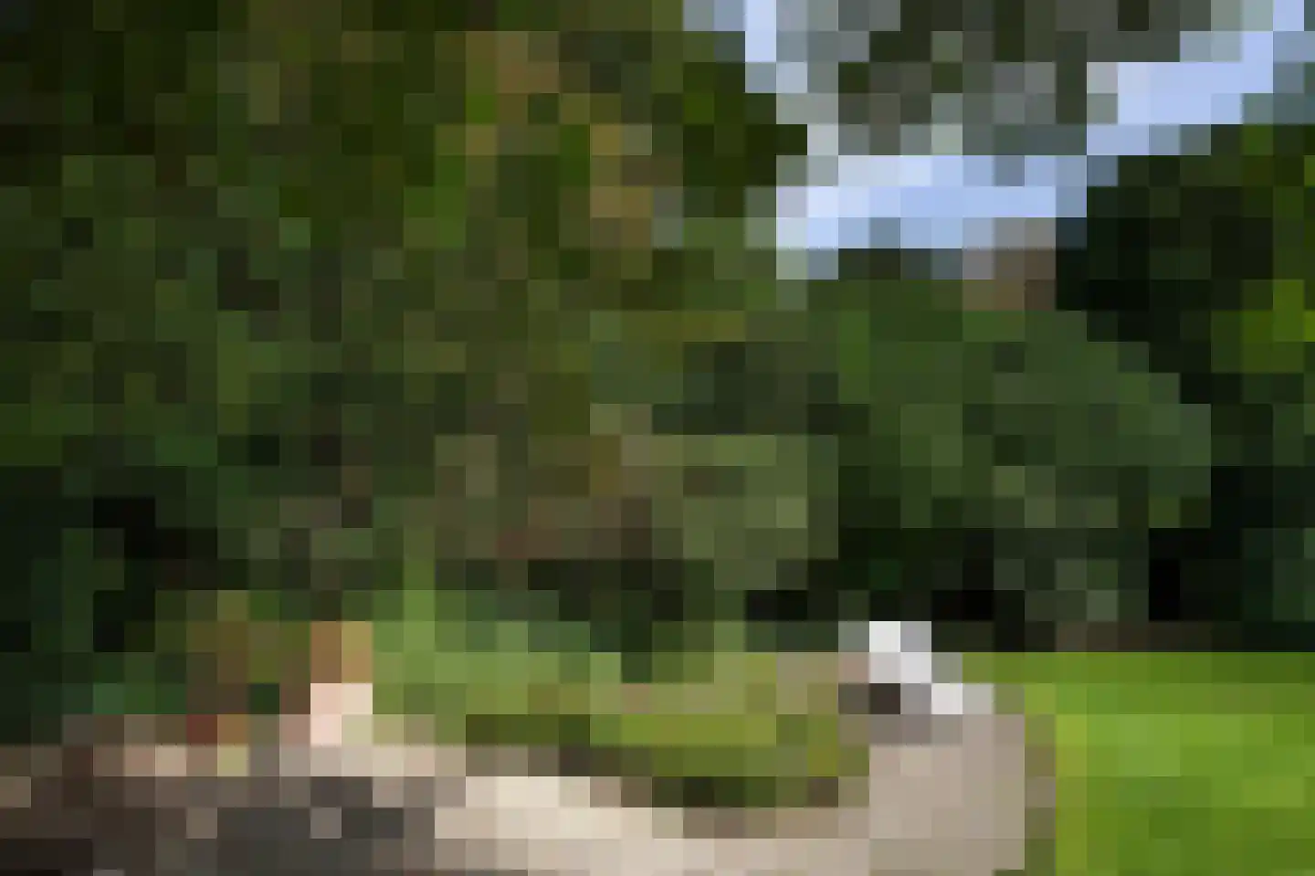 Vredelaan 23 Laren thumbnail 57