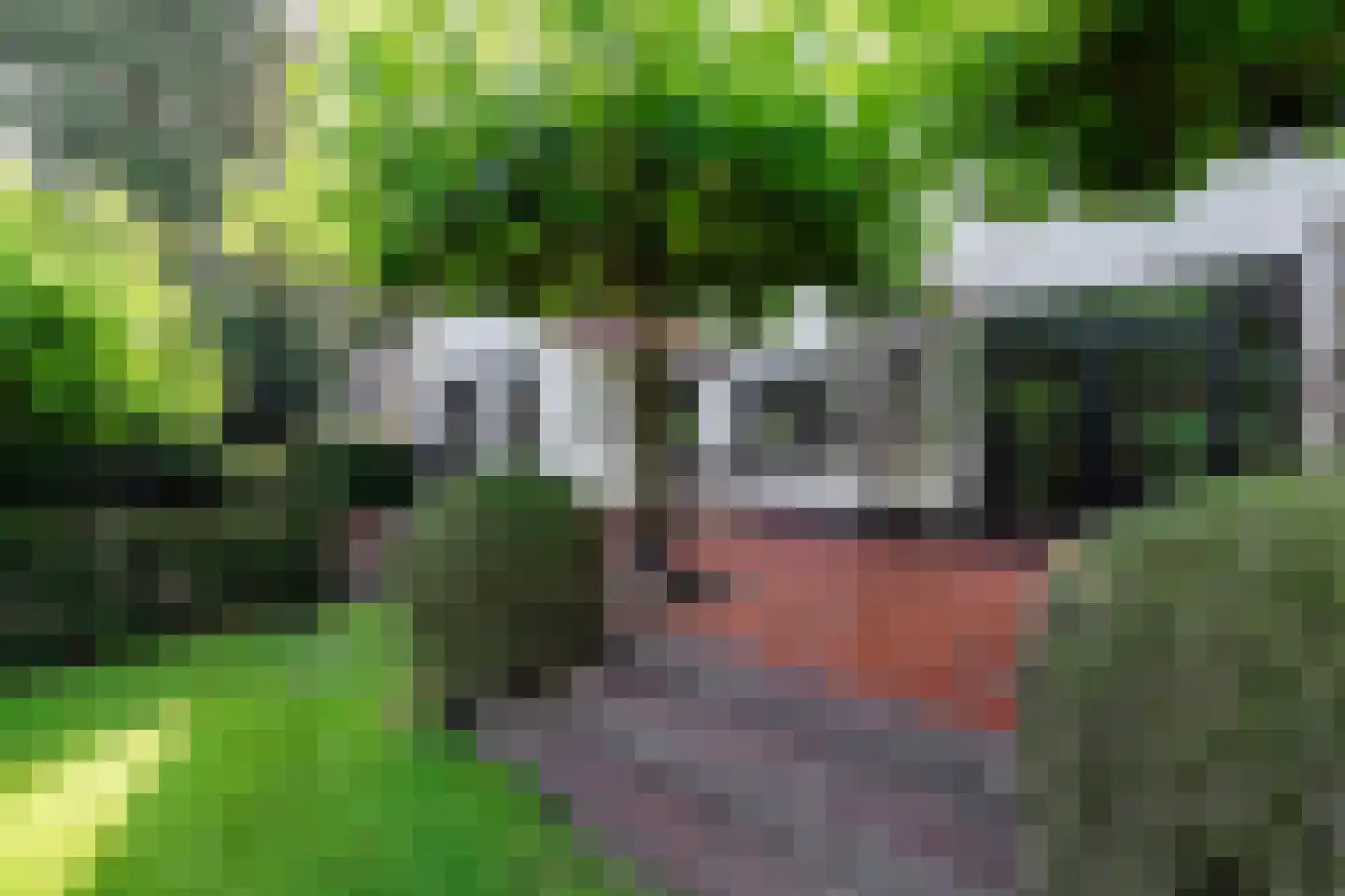 Vredelaan 23 Laren thumbnail 57