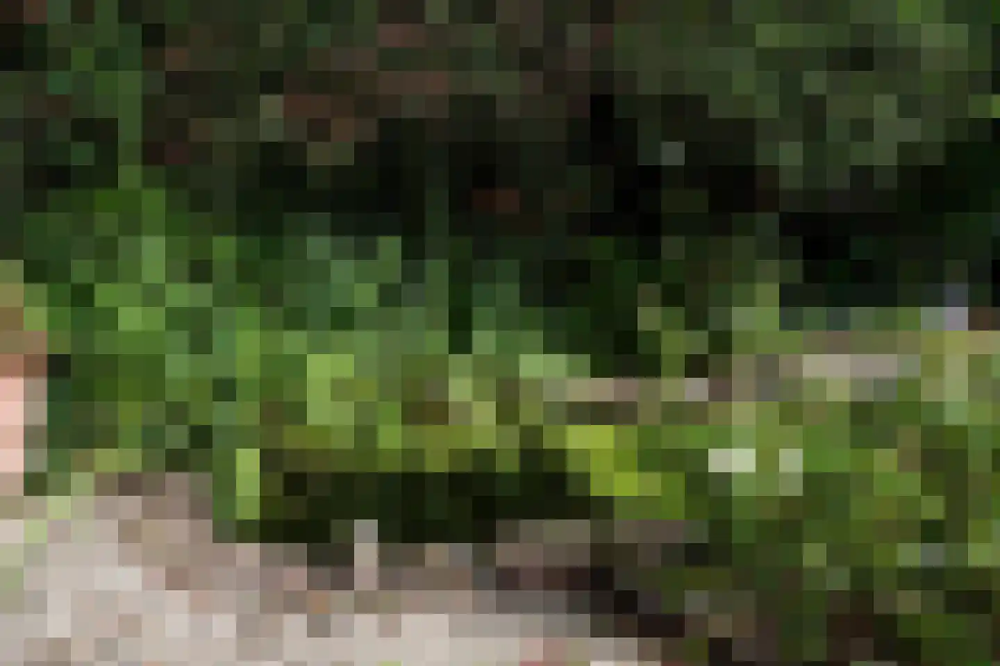 Vredelaan 23 Laren thumbnail 58