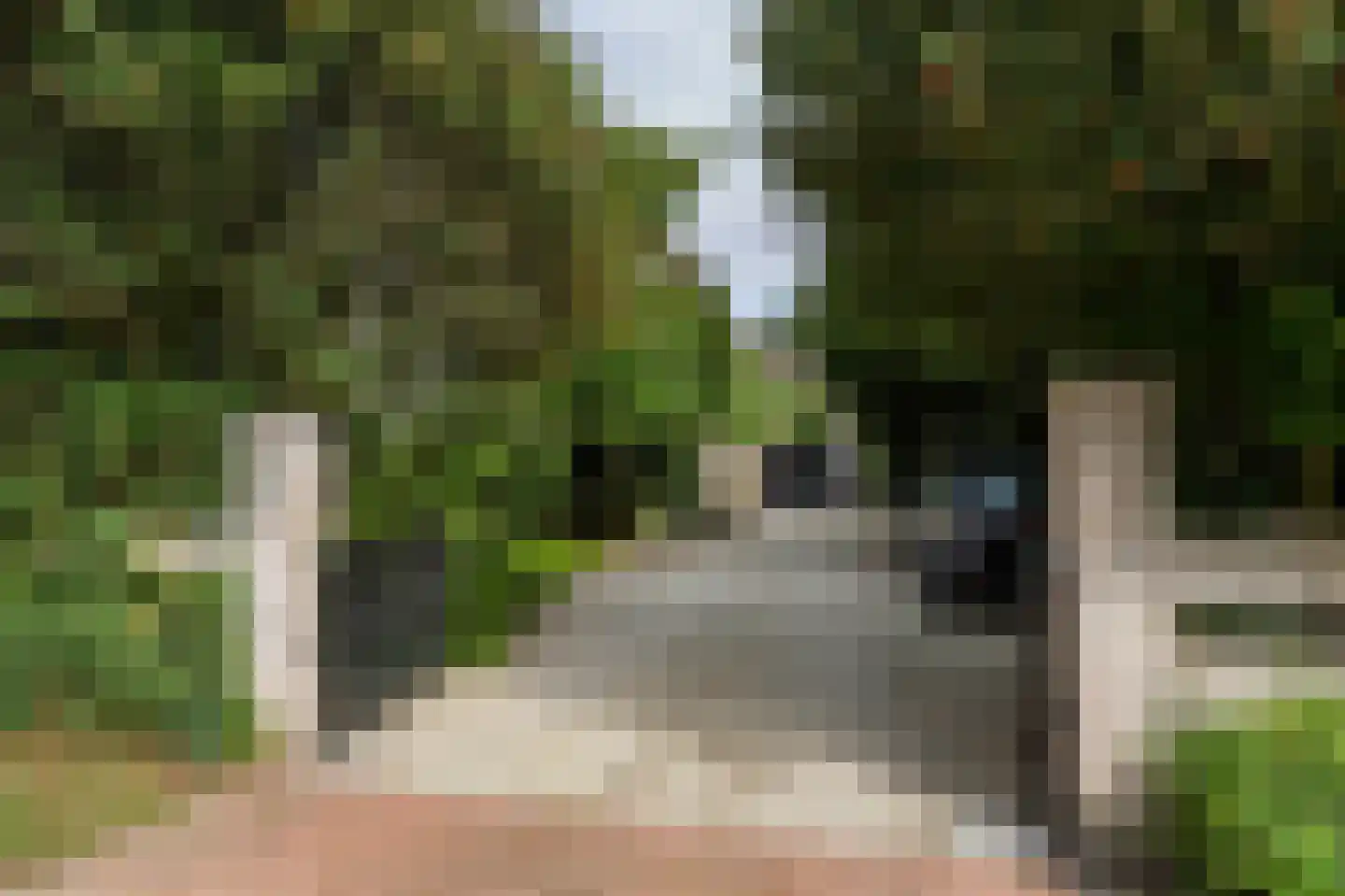 Vredelaan 23 Laren thumbnail 60